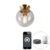 Smart plafondlamp messing met smoke glas incl. Wifi ST64 – Pallon